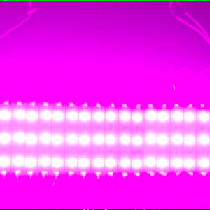 Módulo Led, 3x1SMD5054, 0,72W, IP65, Rosa