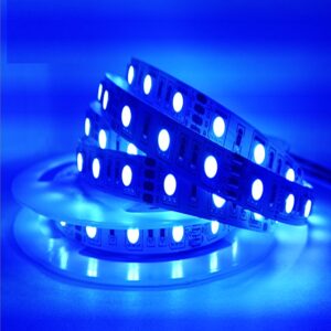 Tira LED SMD5050, DC12V, 5m (60 Led/m) - IP33 - Azu