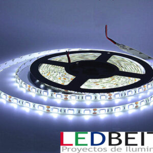 TIRA LED SMD5050, DC24V,Blanco Frío 5M-60 L/M - IP33