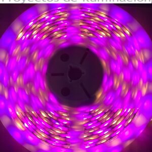 Tira LED SMD5050, RGB+W, DC12V, 5m (60Led/m) - IP66